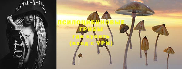 PSILOCYBIN Абдулино