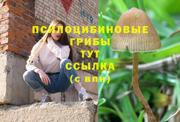 герыч Абинск